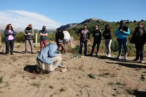 cb1b5903-6990-4a18-b756-7886353040c9-300x200