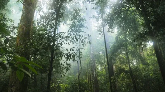 CLIMA