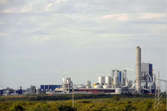 Opera Instantánea_2025-03-15_114150_www.lanacion.com.ar