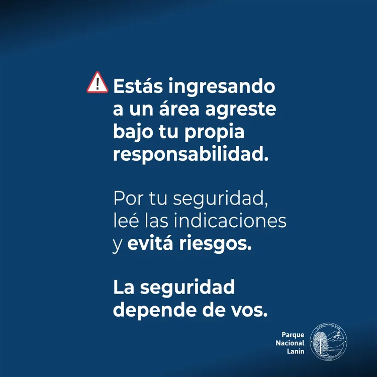 Parque Nacional Lanín 5