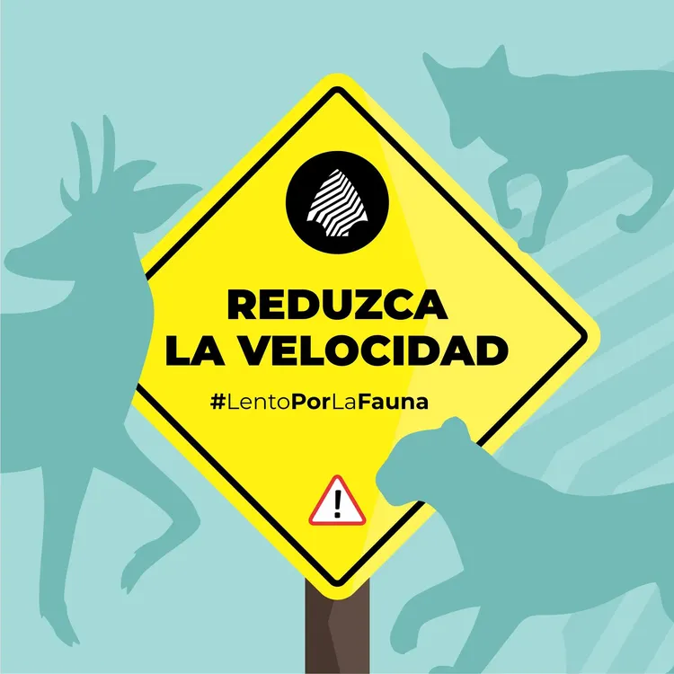 522925928_1044088081237007_1540075518182901307_n