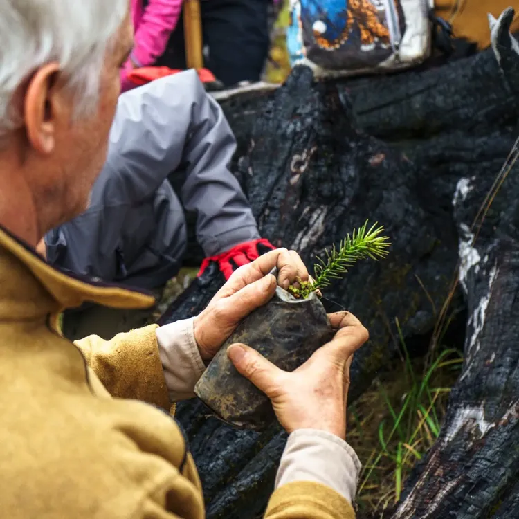 494218078_985000560479093_4369078041210869915_n