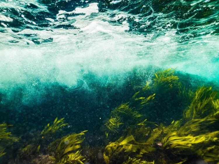 water-4641424_1280-750x563