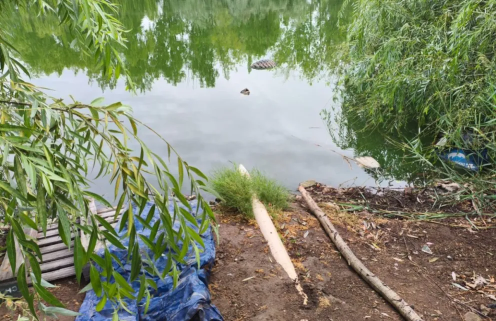 md - 2026-02-05T113024.940