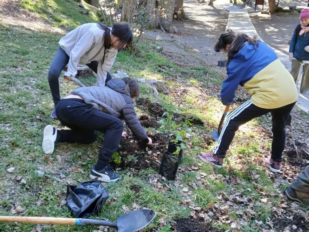 546559559_18531026266044946_8238466978317373414_n