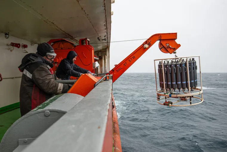 Opera Instantánea_2025-04-29_203509_es.mongabay.com