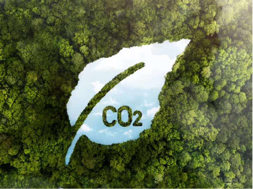 Carbono