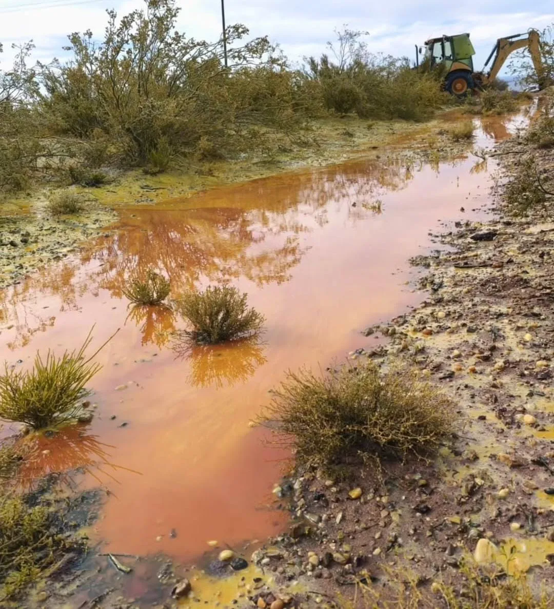 WhatsApp Image 2025-10-22 at 22.12.21