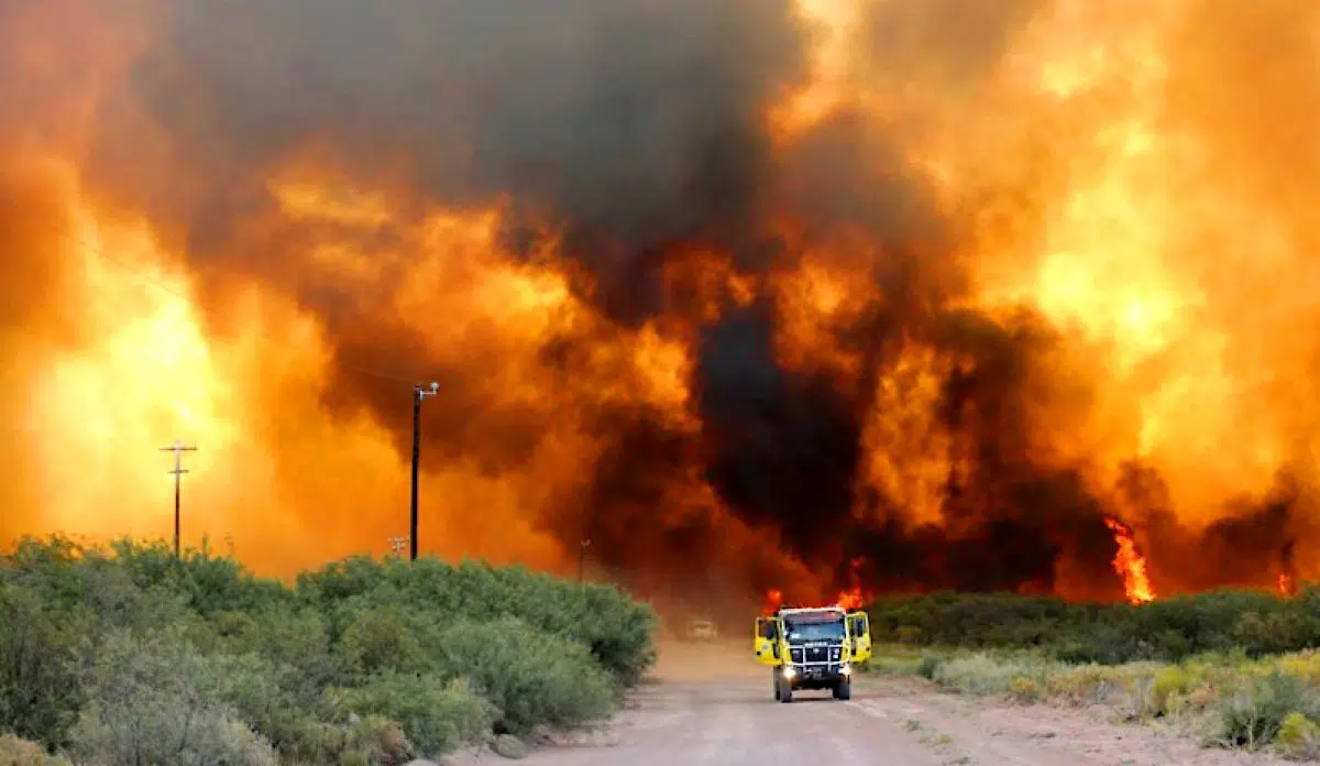 crisis-ignea-en-La-Pampa.jpg