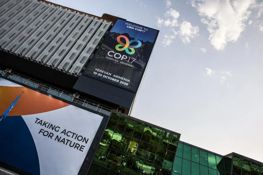 CBDCOP17-1703