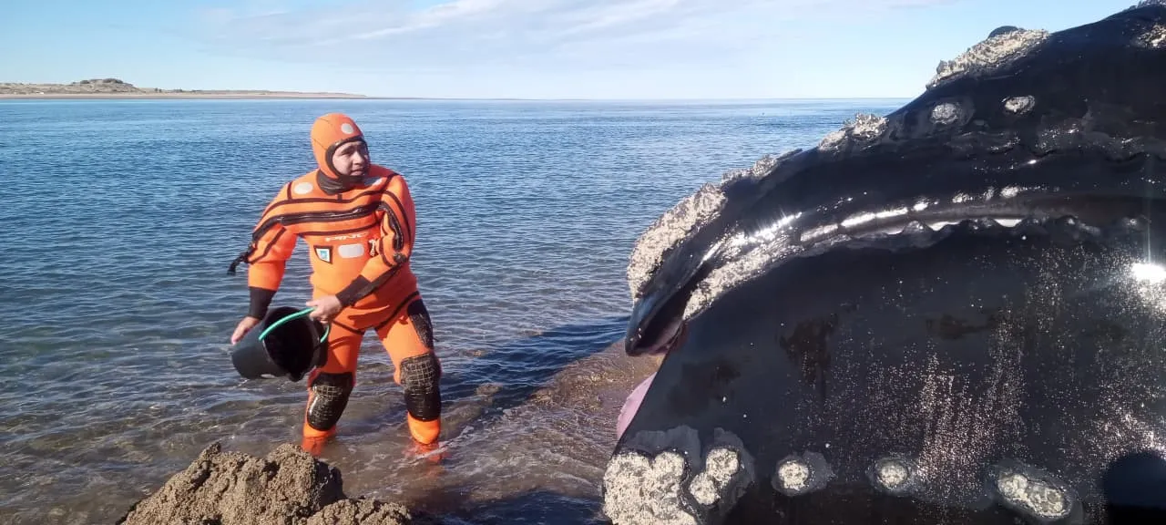 1758908230_d9a45c7804c113abc304