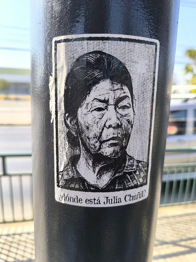 Retrato_de_Julia_Chunil_Cerrillos_2025
