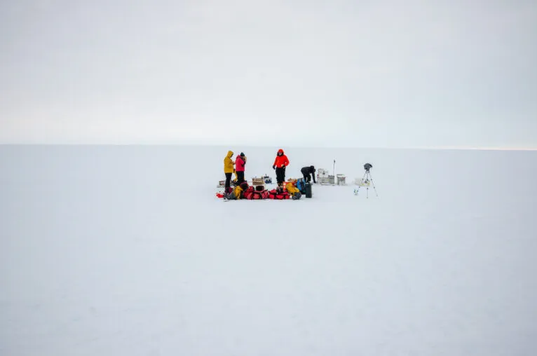 Opera Instantánea_2025-04-29_201657_es.mongabay.com