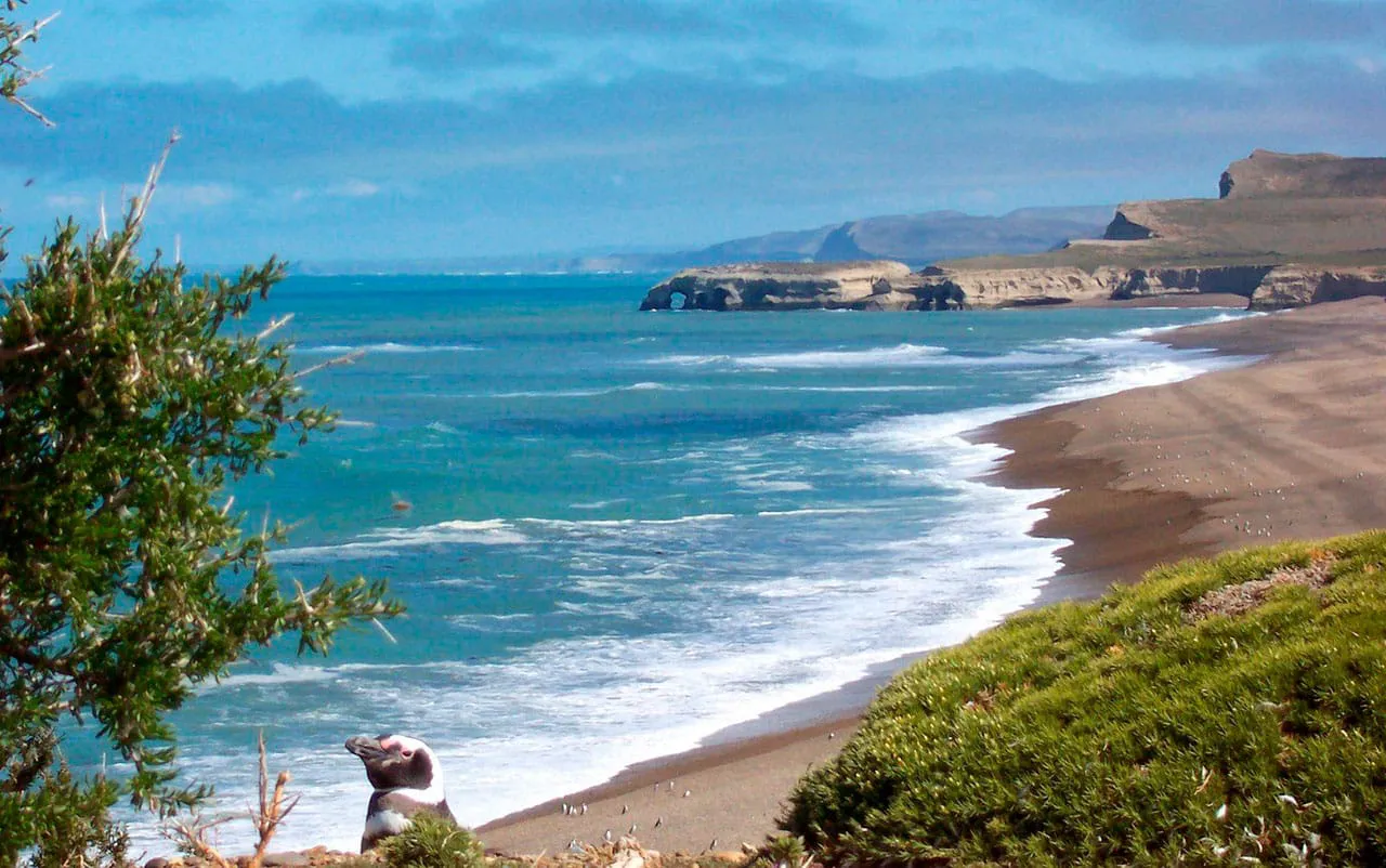 parque-nacional-monte-leon-1