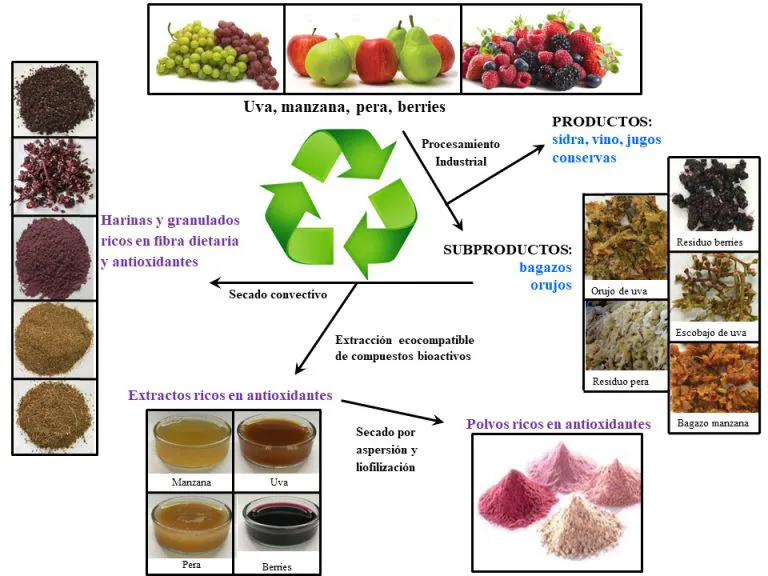 esquema-nuevo-finalb-768x576