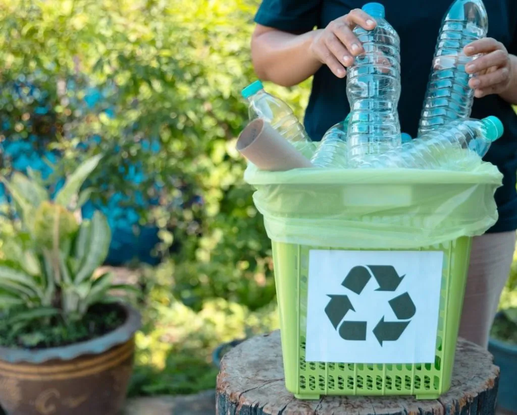 433262644_921291173335381_7377026912922187099_n-1024x823