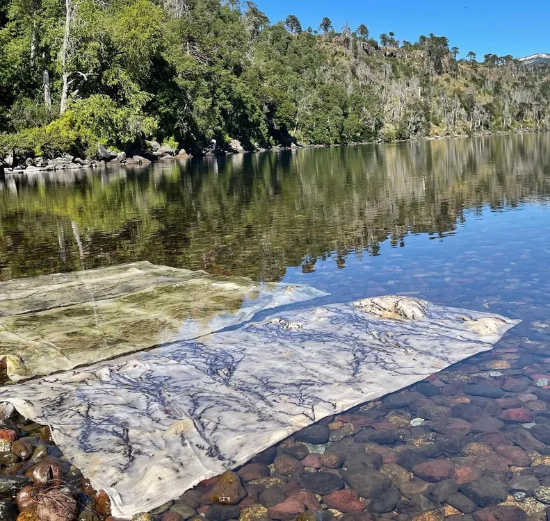 464170528_18359408554136124_227609919341059279_n