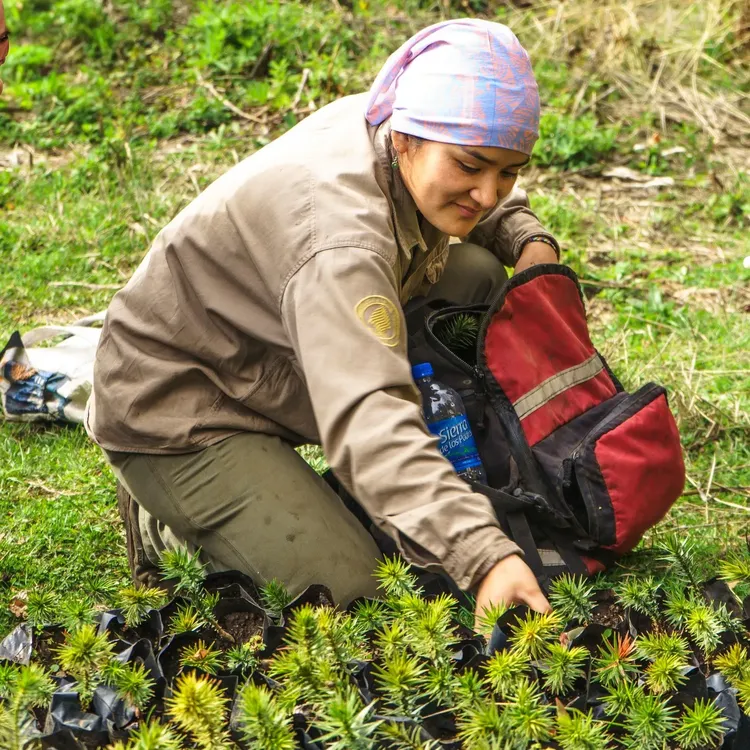 494678221_985000713812411_8556491021707119975_n